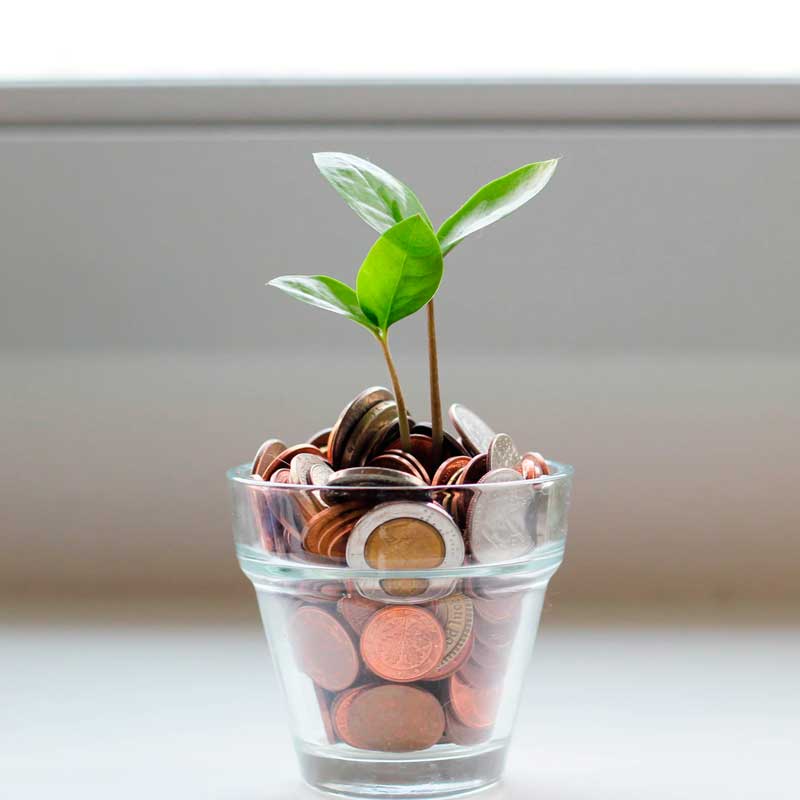 Plan growing out of jar of coins representing chiropractic scholarships at Life West